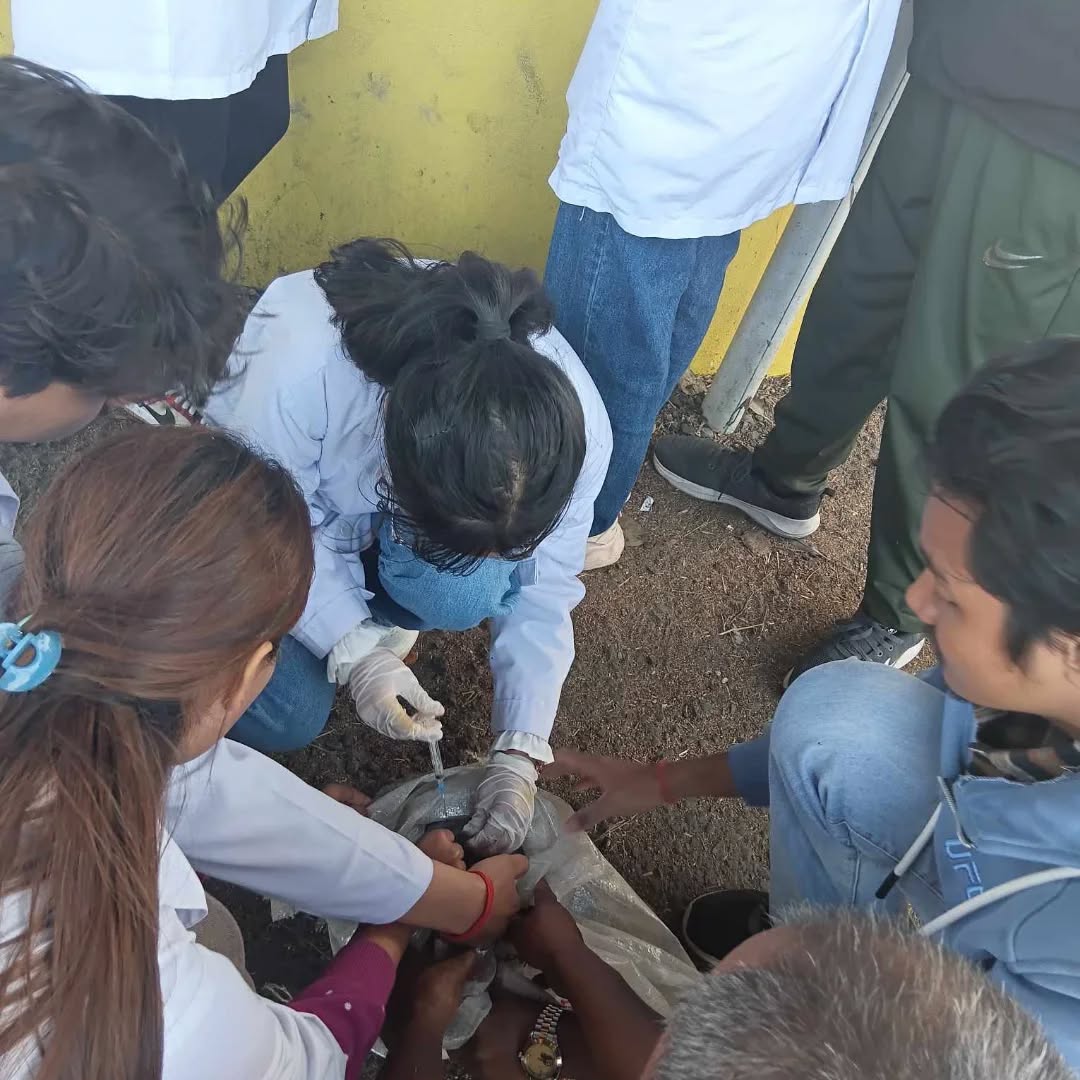 free anti rabies vaccine camp 